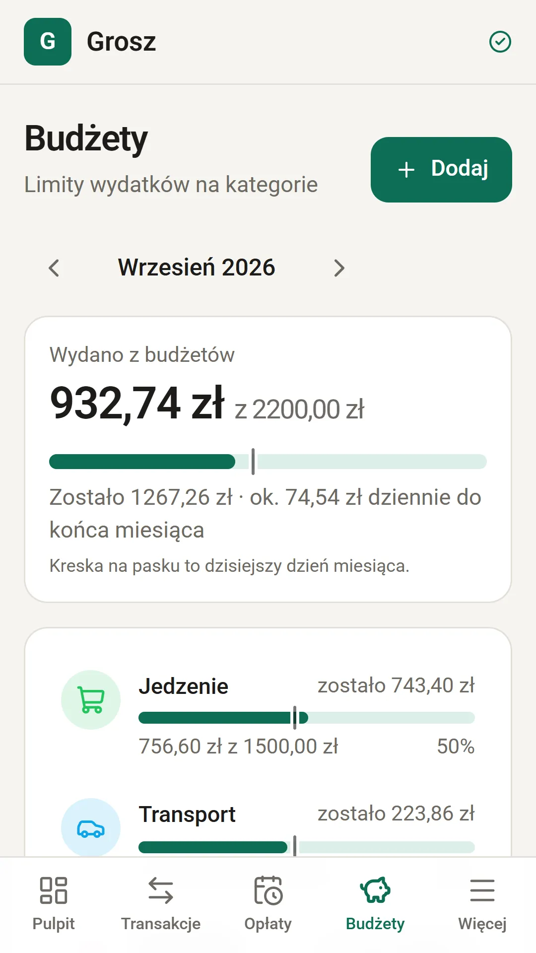Budżety z paskami postępu